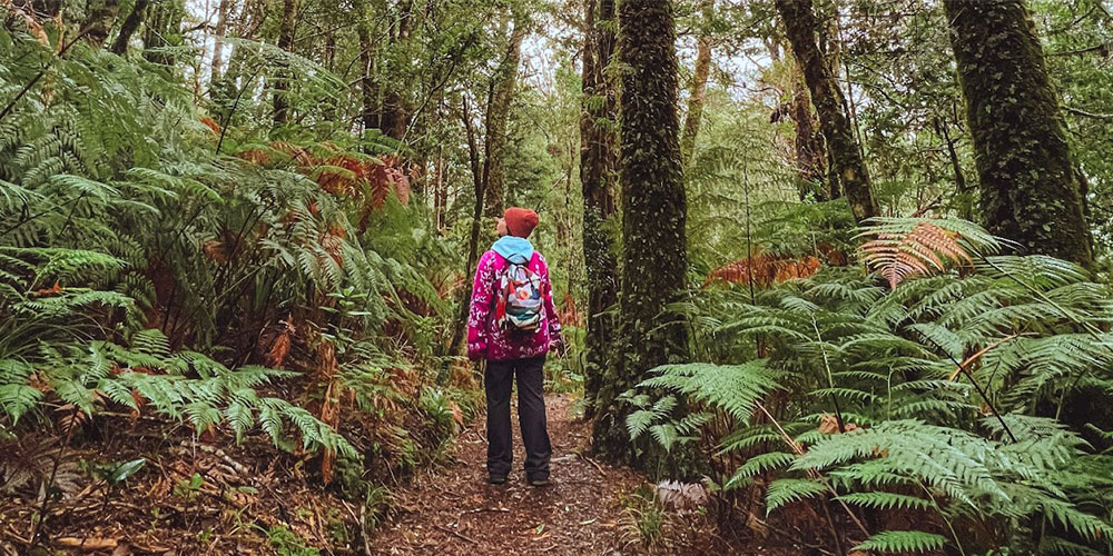 Persona caminando por Parque Oncol rodeada del bosque